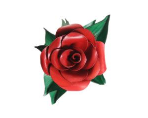 rose en cuir et son étoile